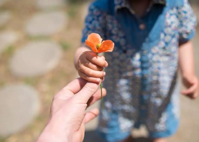 Dia da Gentileza: quando o amor vira ação e transforma comunidades inteiras